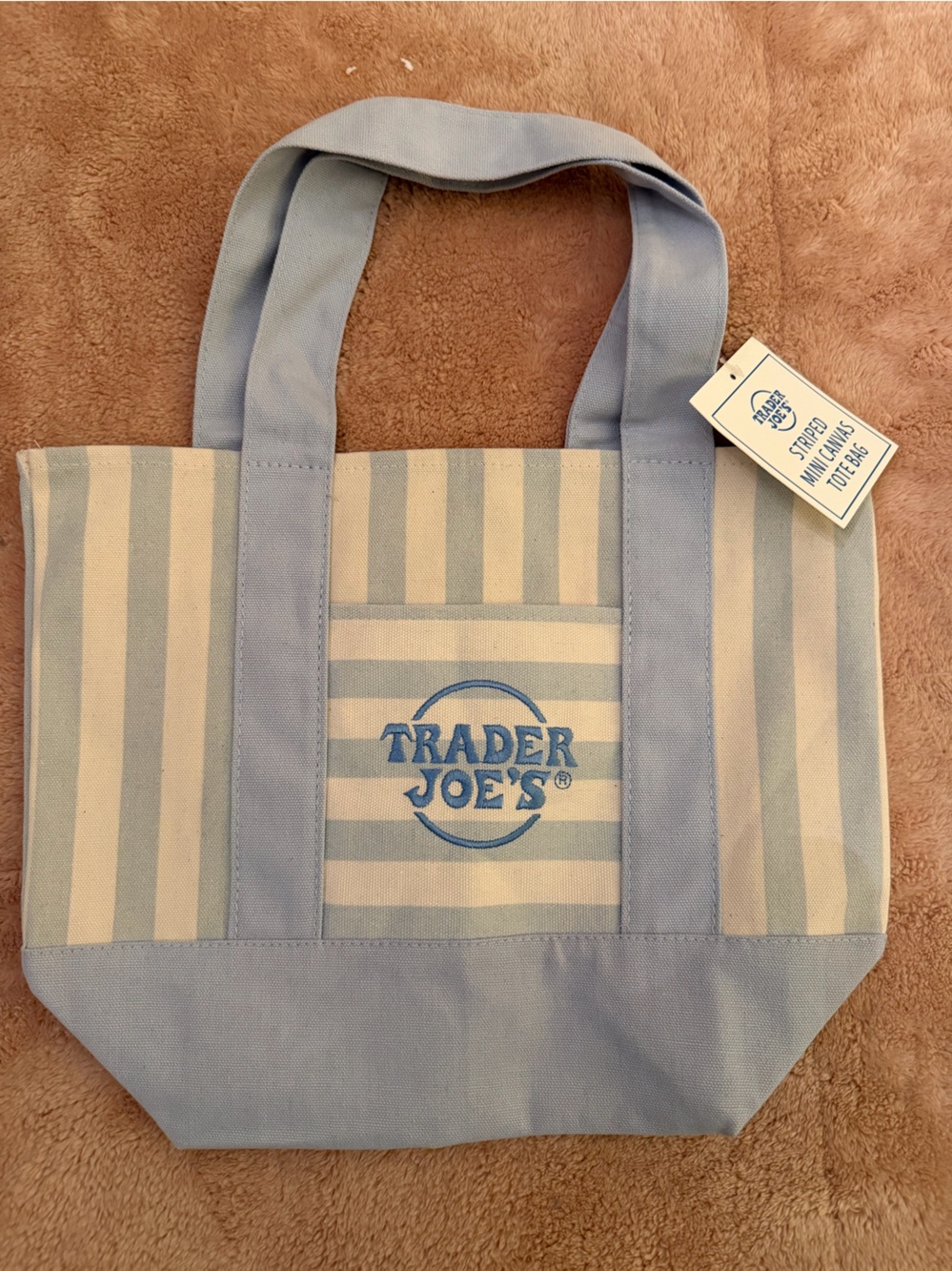 Blue & Cream Striped Canvas Mini Tote
